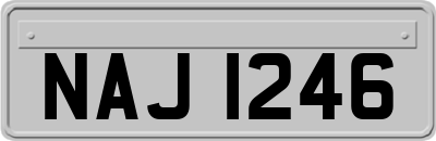 NAJ1246