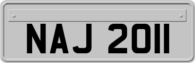 NAJ2011