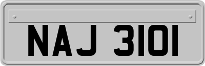 NAJ3101