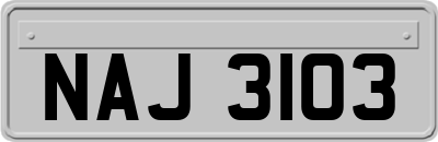 NAJ3103