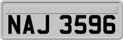 NAJ3596