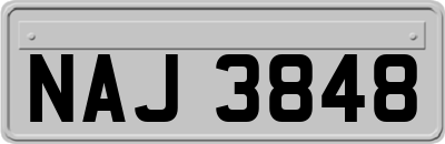 NAJ3848