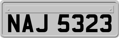 NAJ5323