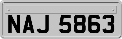 NAJ5863