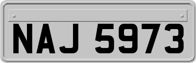 NAJ5973