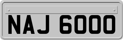 NAJ6000