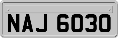 NAJ6030