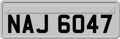 NAJ6047