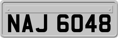 NAJ6048