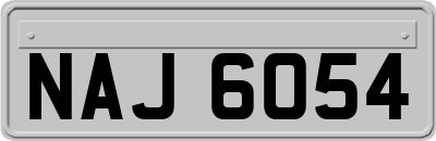 NAJ6054