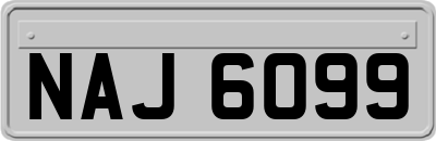 NAJ6099