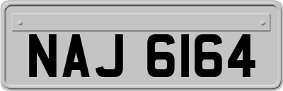 NAJ6164