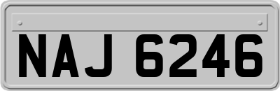 NAJ6246