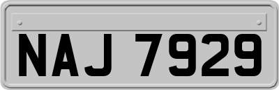 NAJ7929