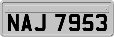 NAJ7953