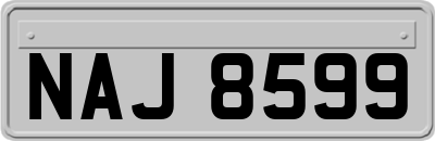 NAJ8599