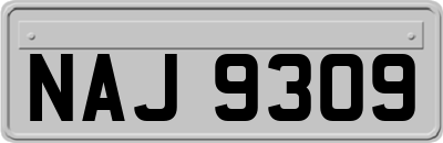 NAJ9309