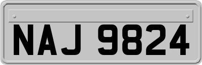 NAJ9824