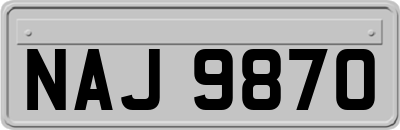 NAJ9870