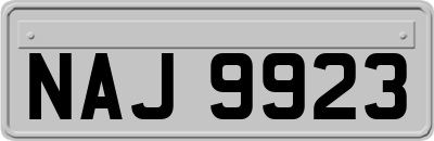 NAJ9923