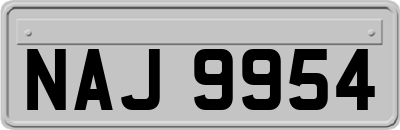 NAJ9954