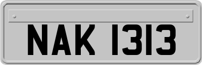 NAK1313