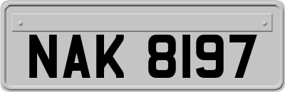 NAK8197