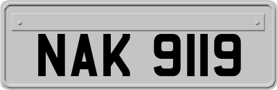 NAK9119