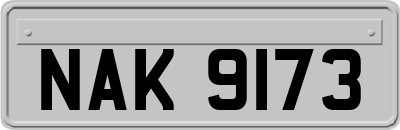 NAK9173