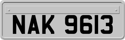 NAK9613