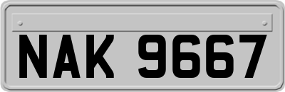 NAK9667