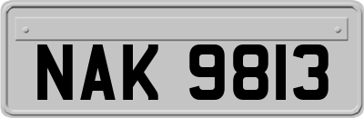 NAK9813