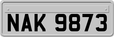 NAK9873