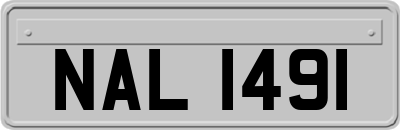 NAL1491