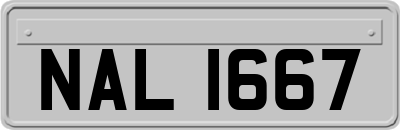 NAL1667