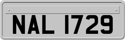 NAL1729