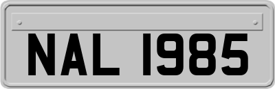 NAL1985