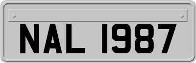 NAL1987