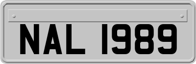 NAL1989