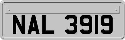 NAL3919