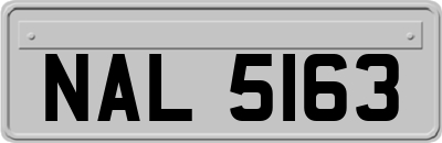 NAL5163