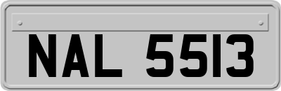 NAL5513