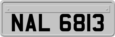 NAL6813