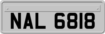 NAL6818