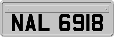 NAL6918