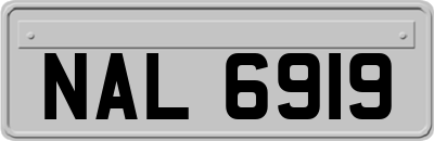 NAL6919