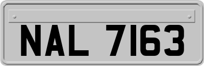 NAL7163