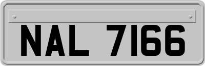 NAL7166