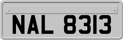 NAL8313