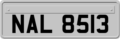 NAL8513